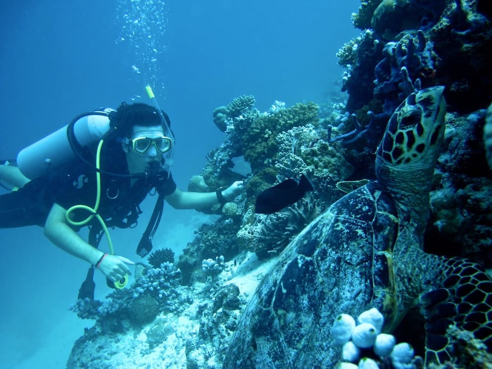 Coco Bodu Hithi - View 70