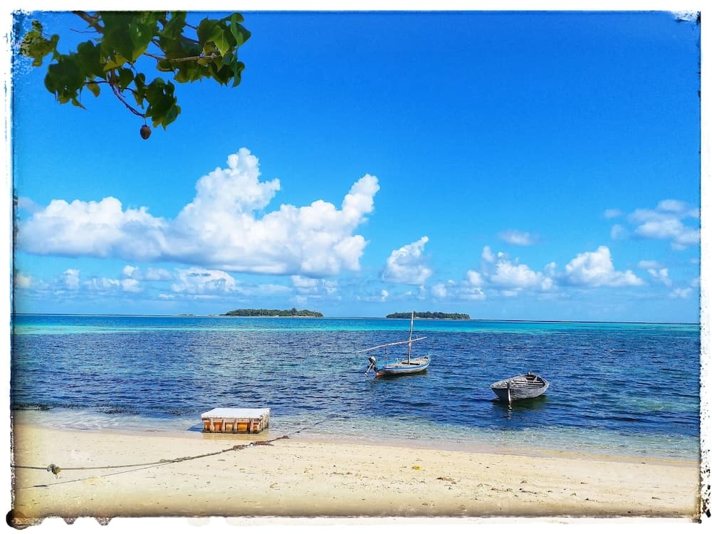 Medhufaru Inn - View 63