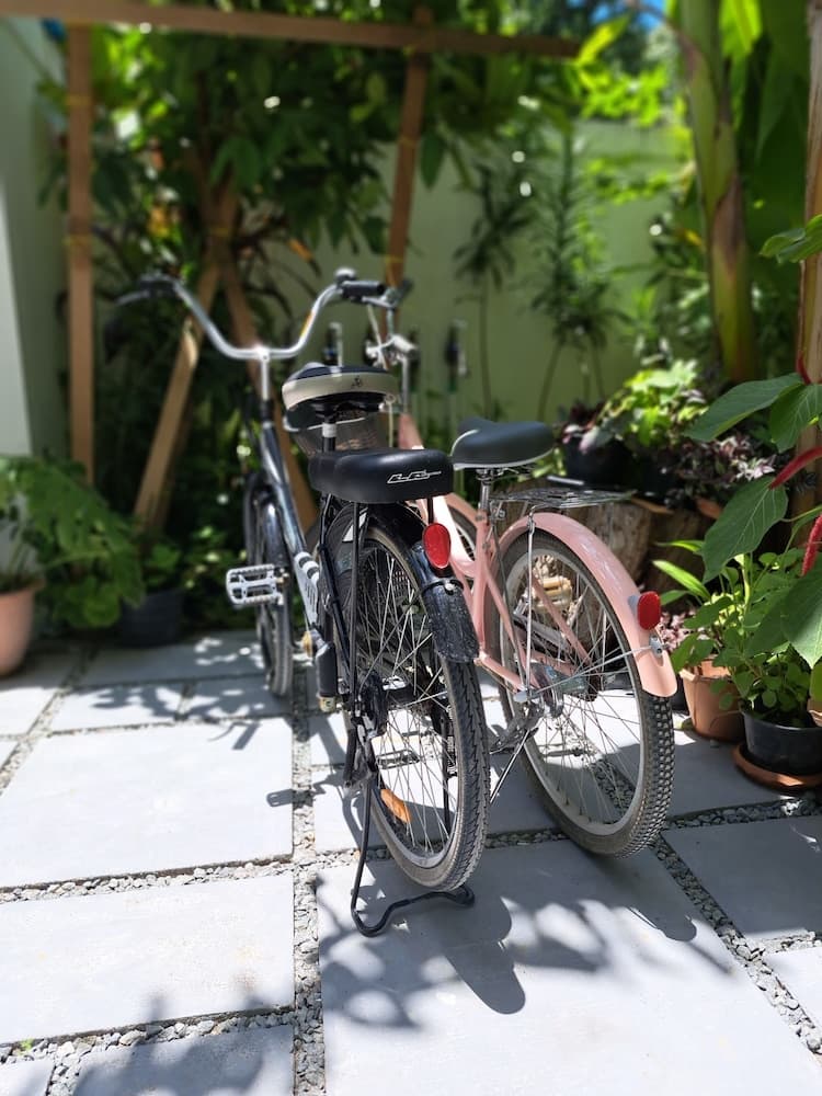 Shams Thoddoo - View 5