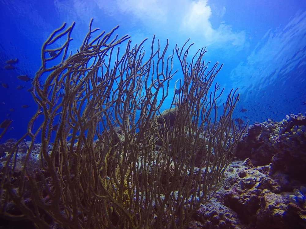 Rasdhoo Holiday Home - View 58