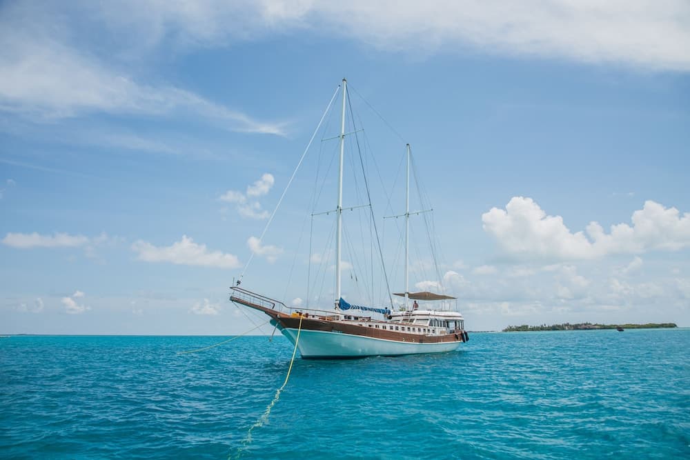 Akoya Pearl - View 12