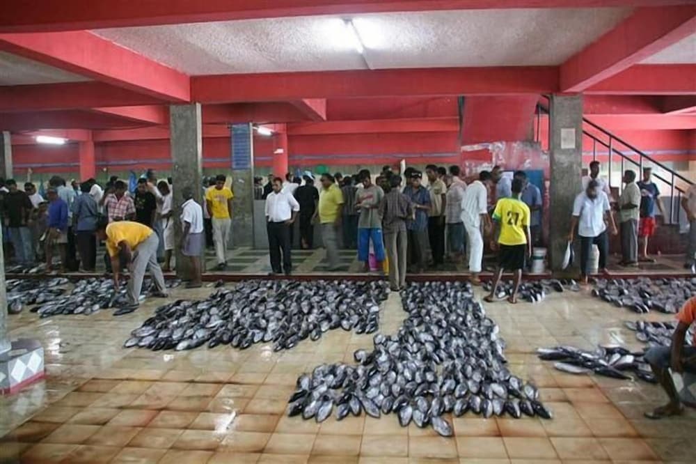 Hotel Elite Inn - View 29