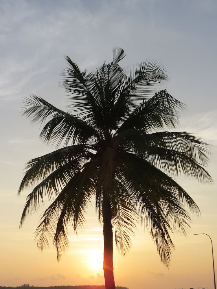 Smera Grand - View 29