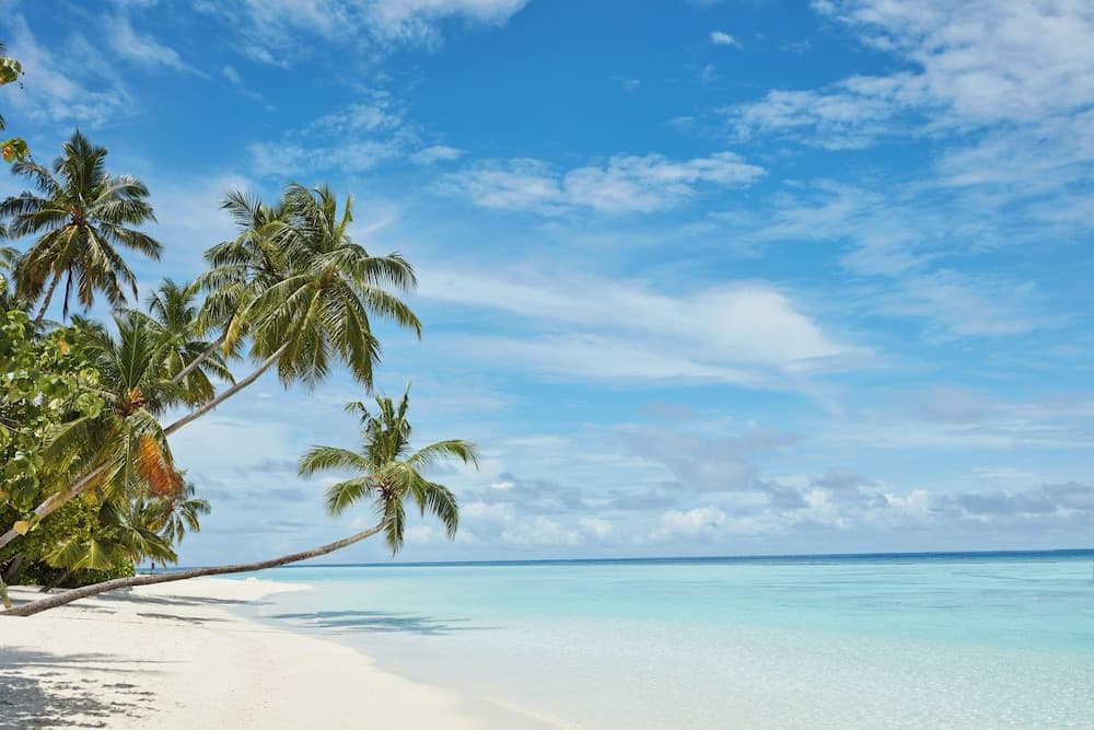 Sun Siyam Vilu Reef - All Inclusive - View 109