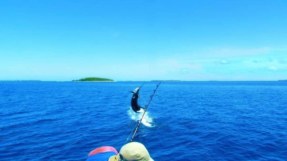 Summer Shade Maldives - View 20