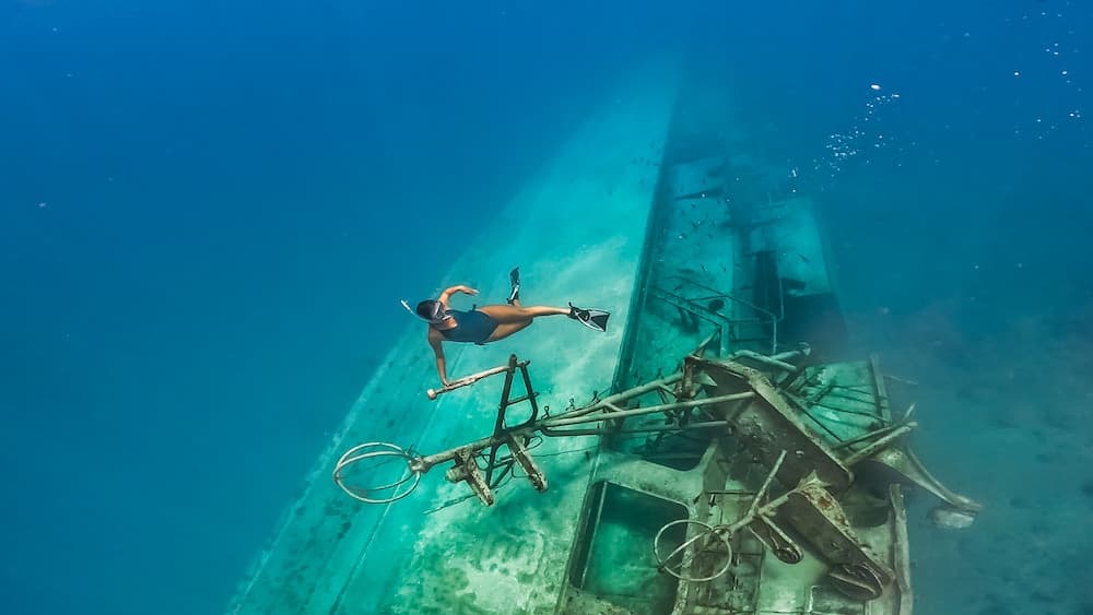 Stay Mikado - View 9