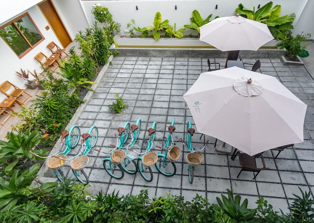 Olive Goidhoo - View 45