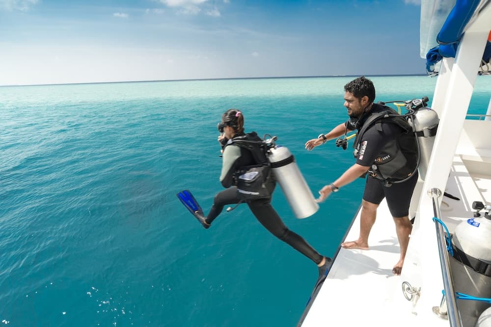 Dhigufaru Island Resort - View 10