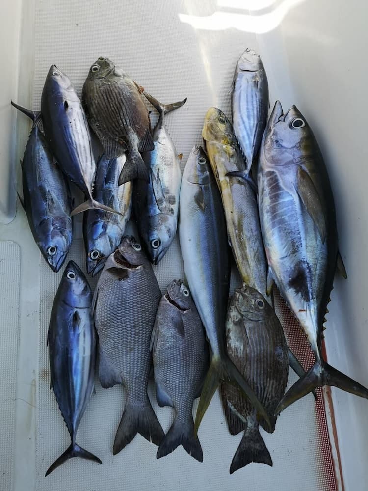 Charming Holiday Lodge - View 31