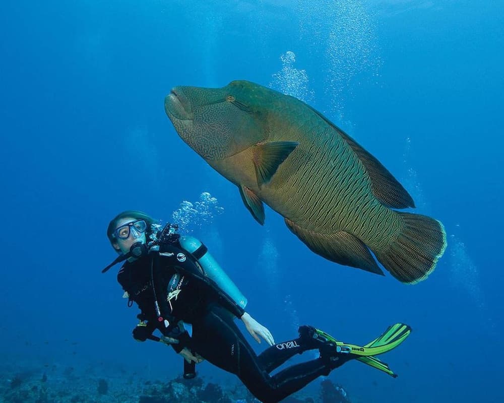 Hotel Elite Inn - View 31