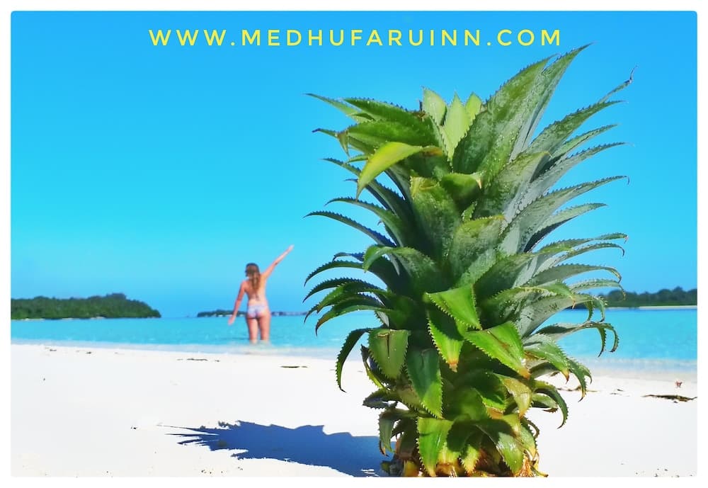 Medhufaru Inn - View 53