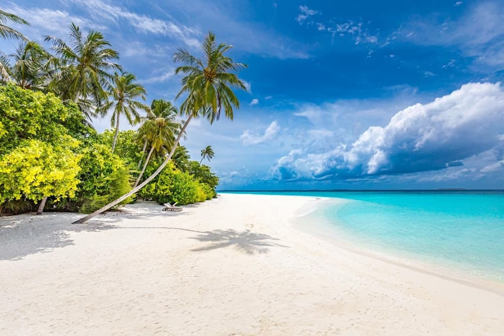 Siyam World Maldives - 24-Hour Premium All-inclusive with Free Transfer - View 27