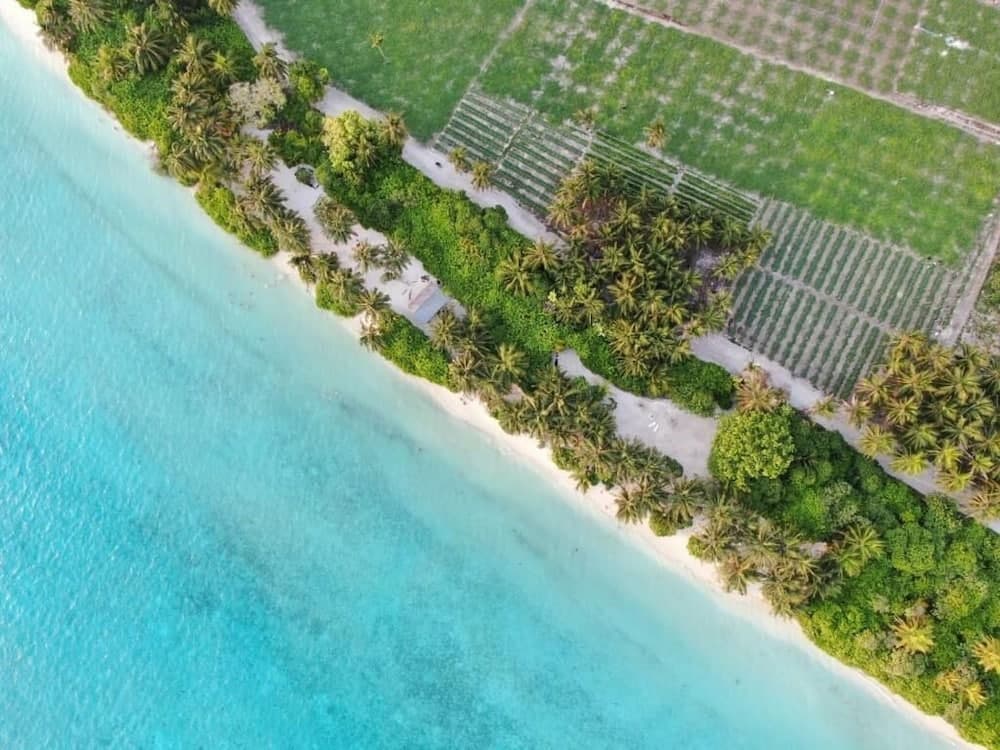 Thila Farm View Guest House - View 33