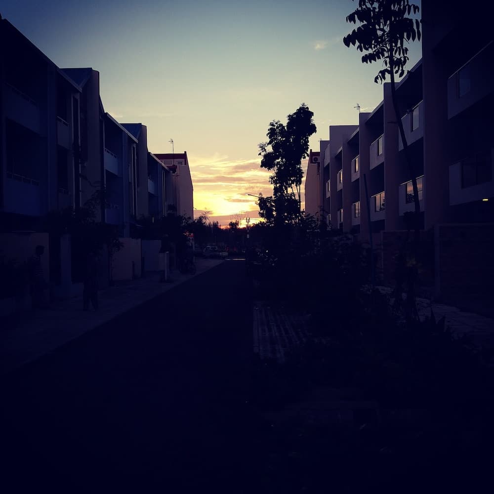 Amber Terrace lot.11125 R-1509 - View 19