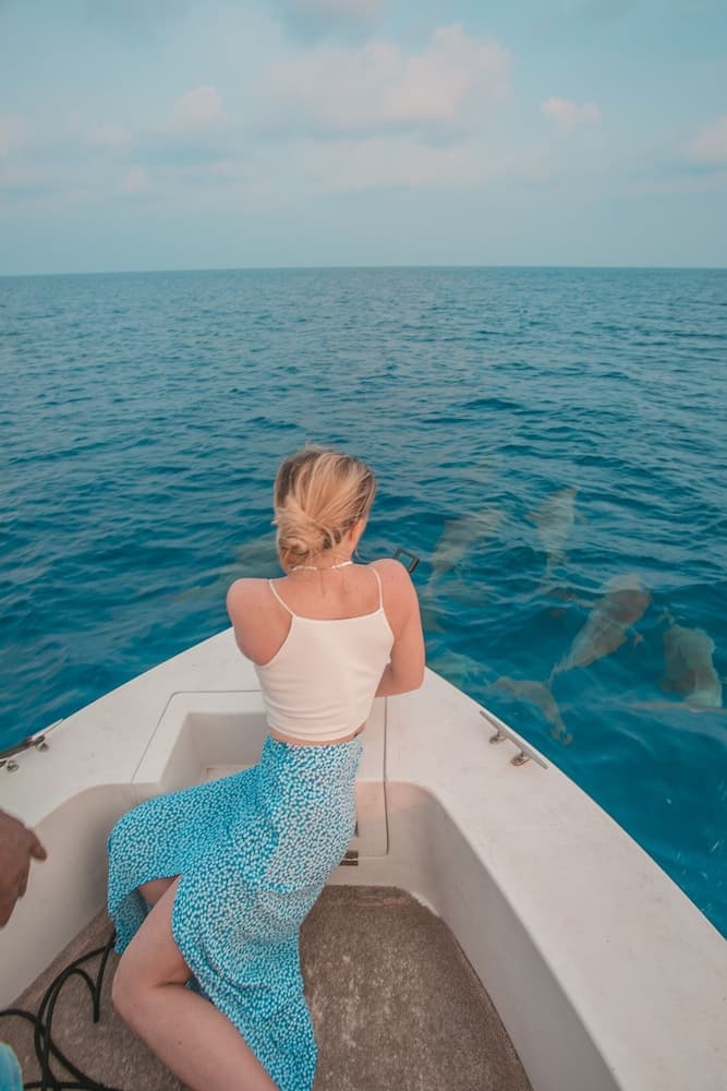 Hondaafushi Island Resort - View 71