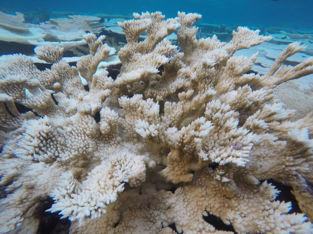 Mathiveri Inn - View 8