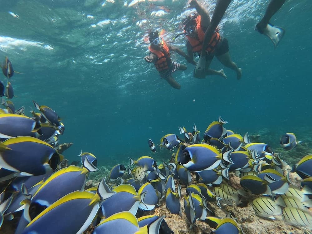 Athens View Guraidhoo - View 65