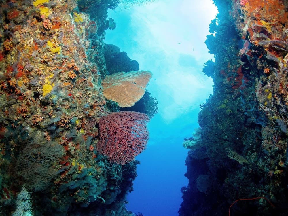 Bliss Dhigurah - View 47