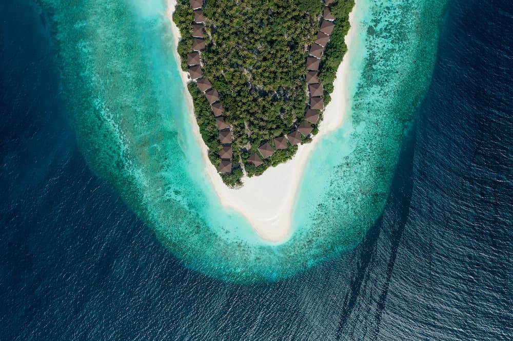 Avani+ Fares Maldives Resort - View 53