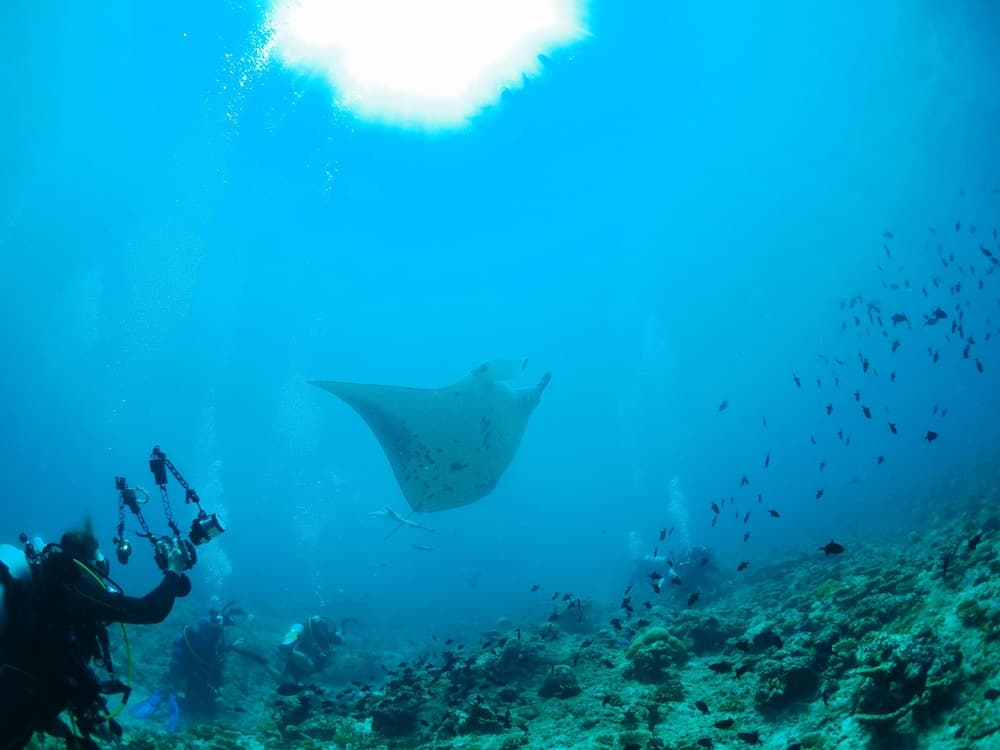 Adroit Beach Inn - View 200