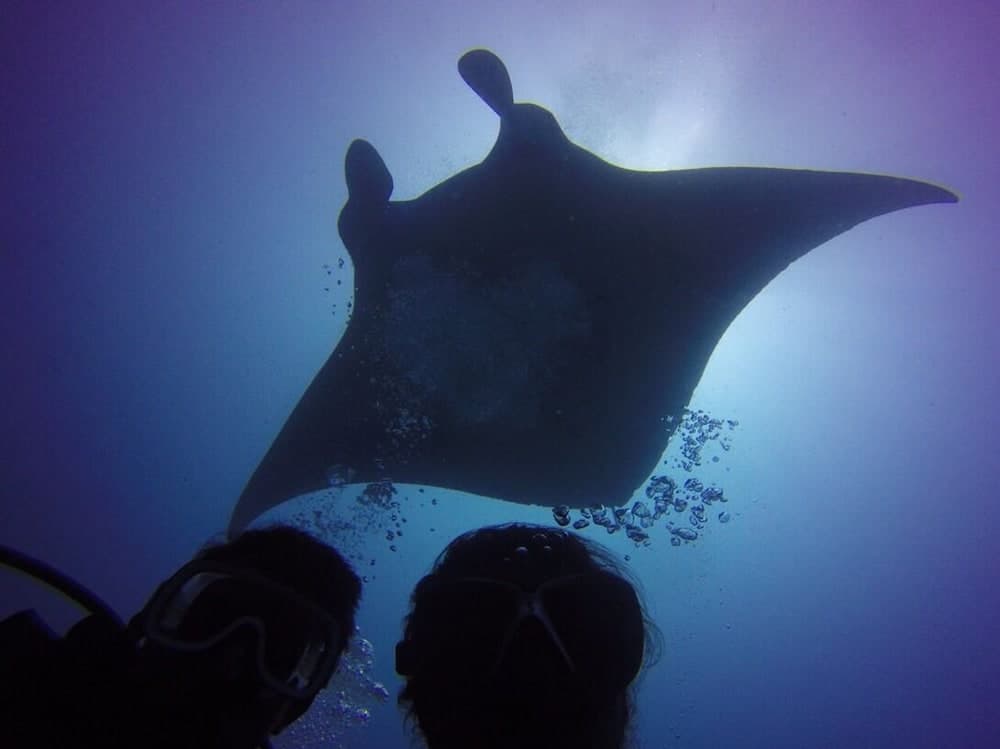 Midsummer Thulusdhoo - View 37