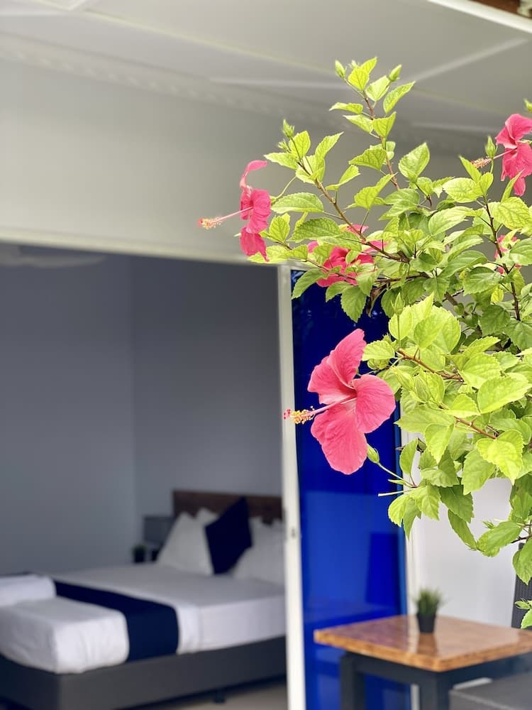 Tides Dhigurah - View 15