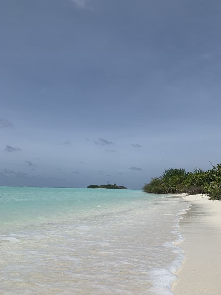 Brickwood Holiday Home - View 49