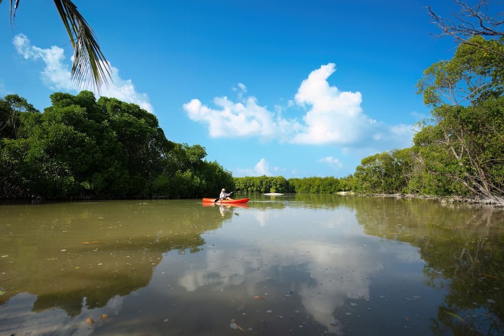 Silver Oasis Maldives - View 25