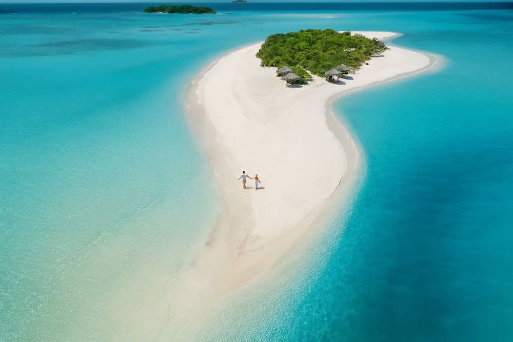 Nest by Hawks Hotels Kamadhoo Baa Atoll - View 37
