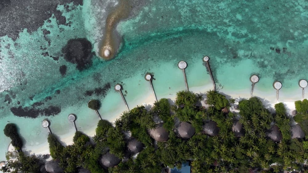 Nika Island Resort & Spa - View 49