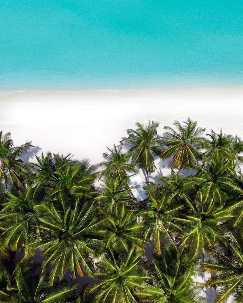 Blue Coral Vashafaru - View 36