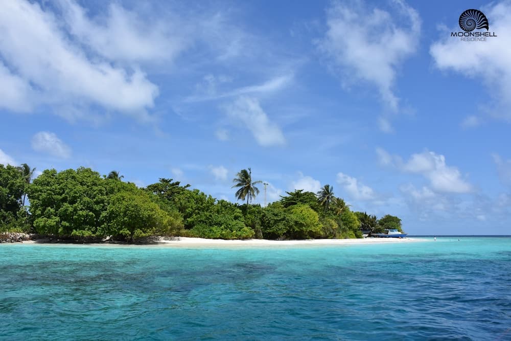 Moonshell Residence - View 18