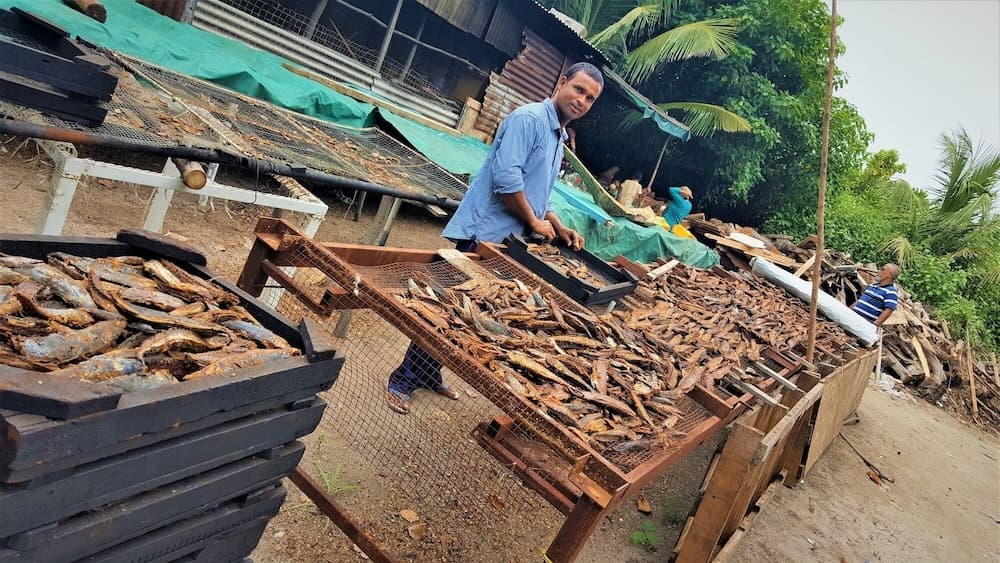 Explore Island Inn - View 13