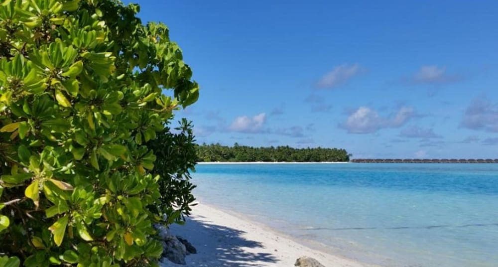 Captains Residence by Vista - View 5