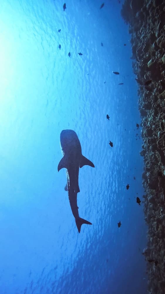 Sands Garden Hotel - View 26