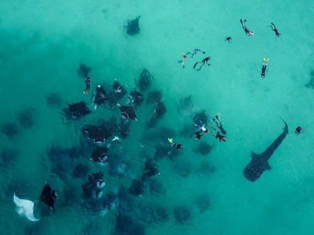 Summer Shade Maldives - View 29