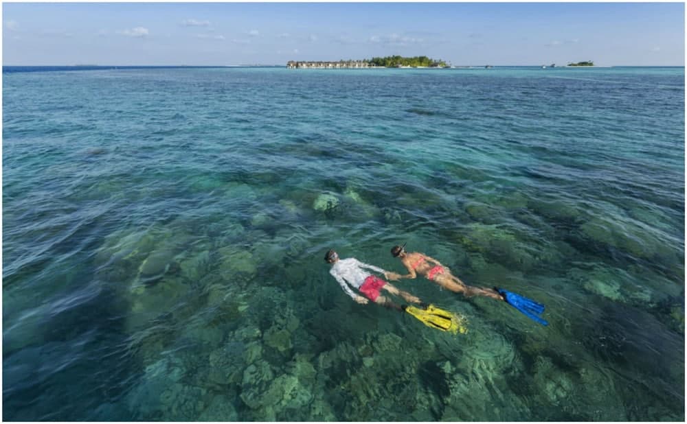 OUTRIGGER Maldives Maafushivaru Resort - View 92