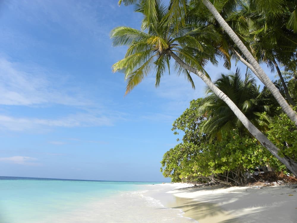 Vaali Maldives Island Escapes & Dive - View 1