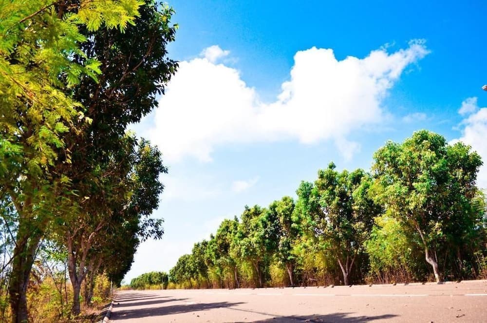 BEACH PALACE HOTEL - View 35