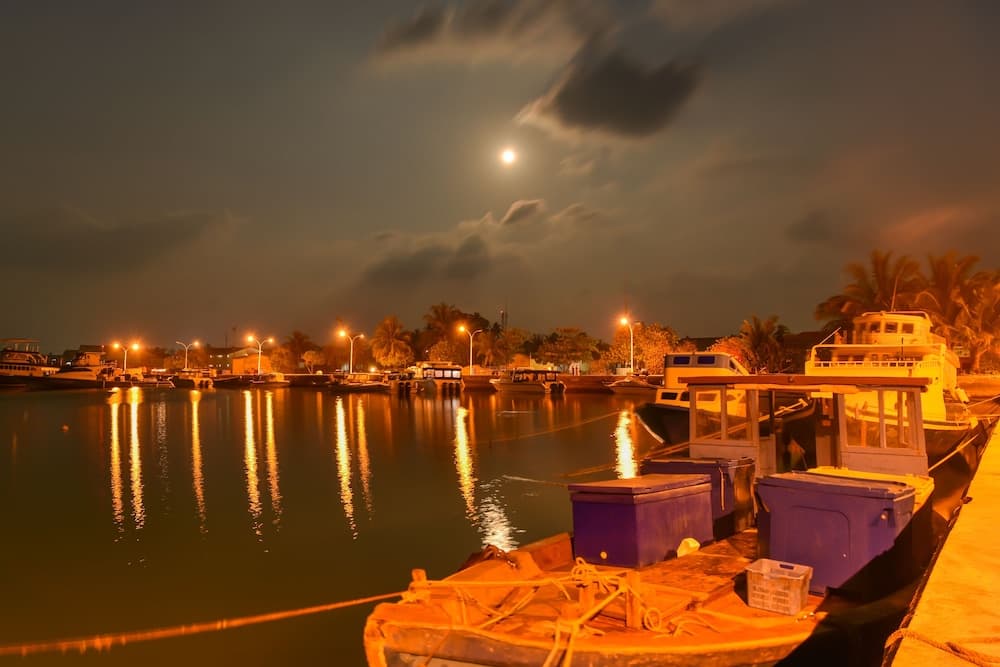 Savaa Home - View 17