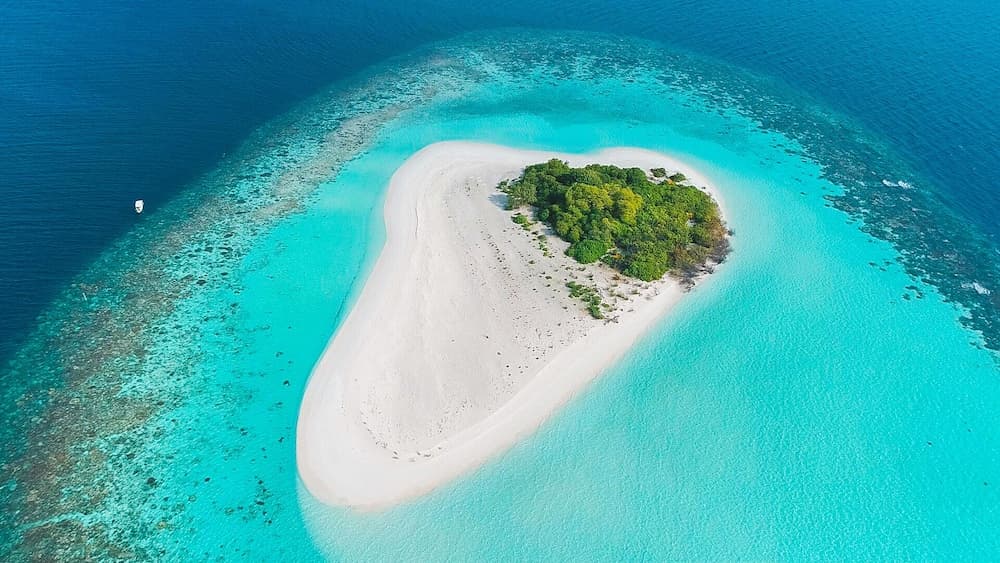 Small Island Lodge - View 18