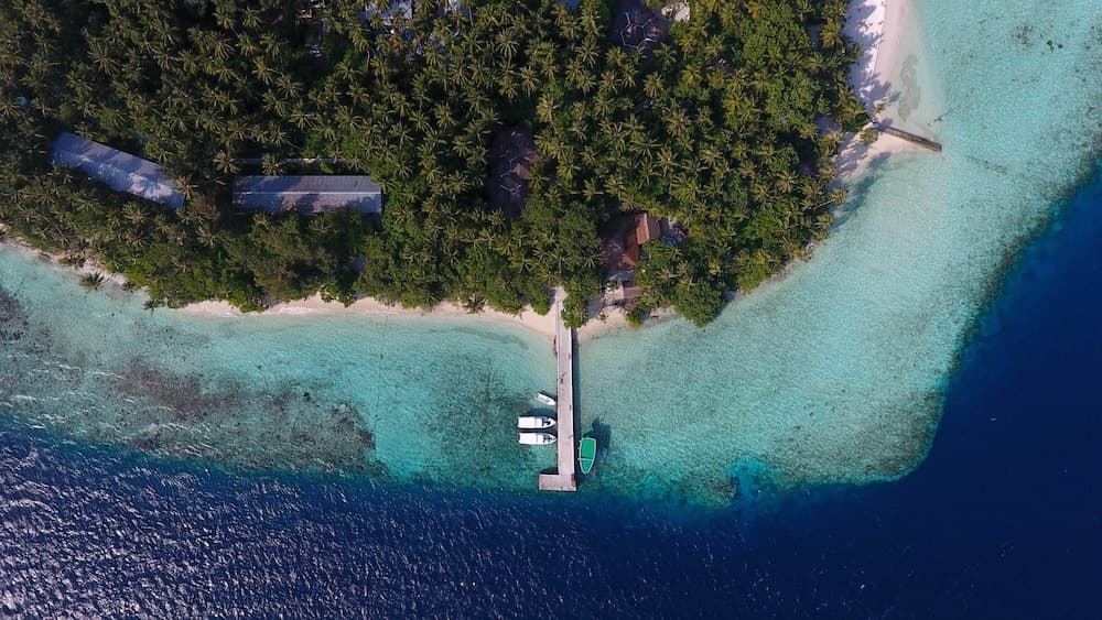 Biyadhoo Island Resort - View 6
