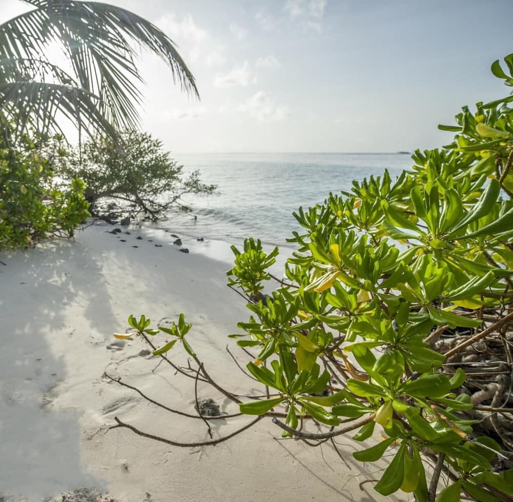 Portia Hotel & Spa - View 40