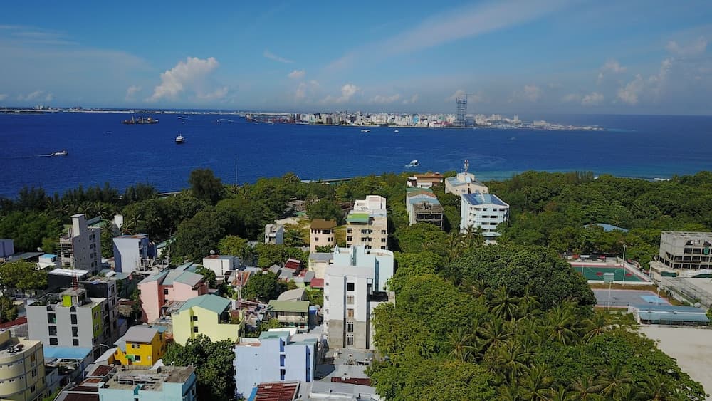 Green Flora - View 53