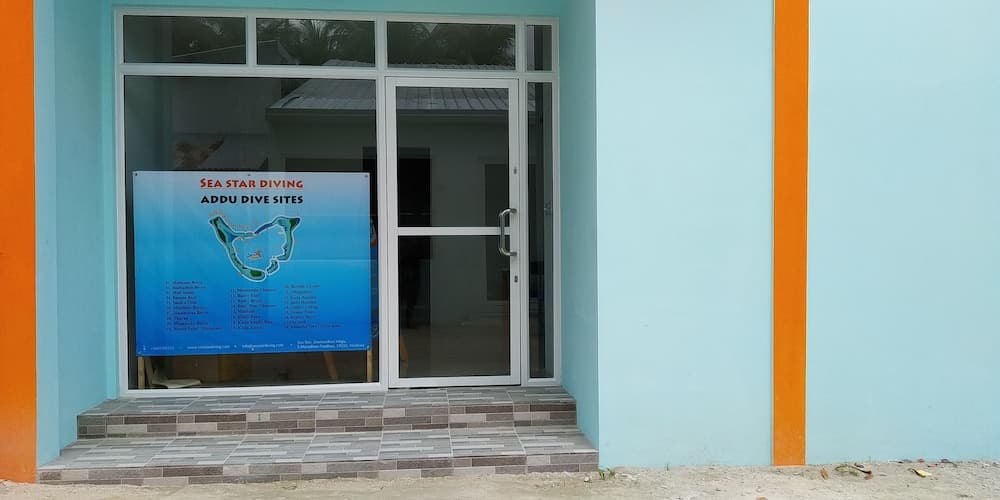 Sea Star Diving - View 26