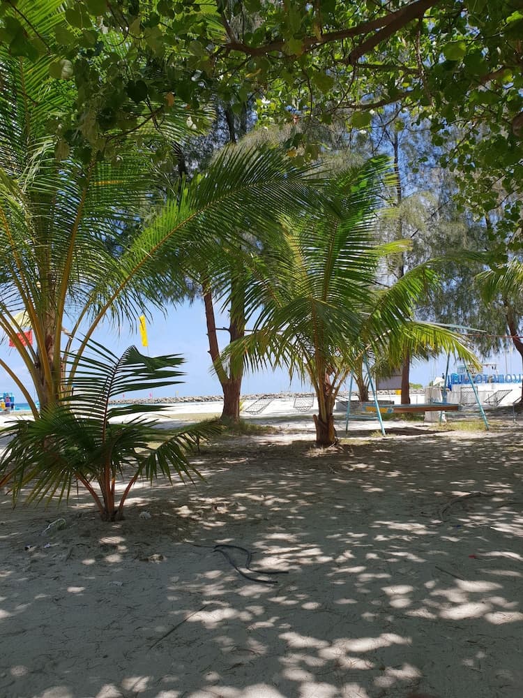 Hibiscus Holidays - View 26