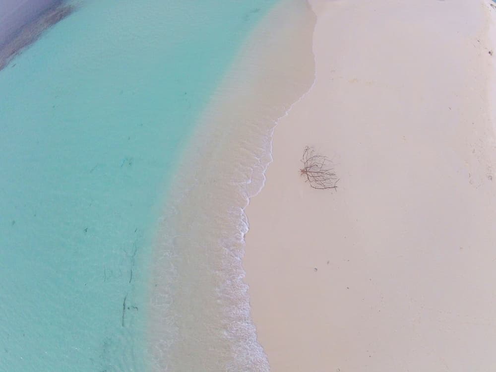 Beach Star Maldives - View 21