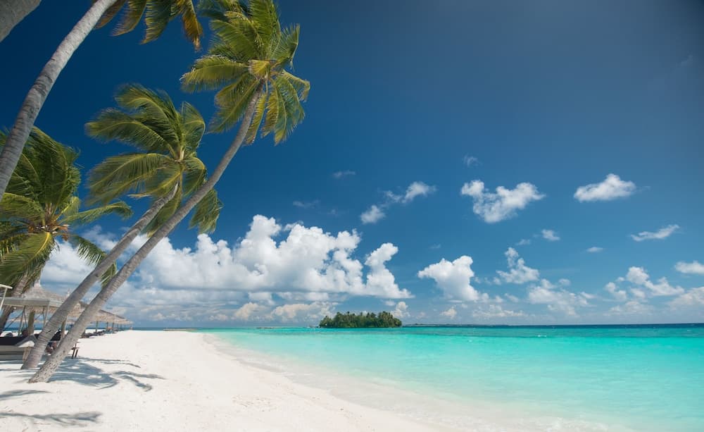 Veligandu Maldives Resort Island - View 10