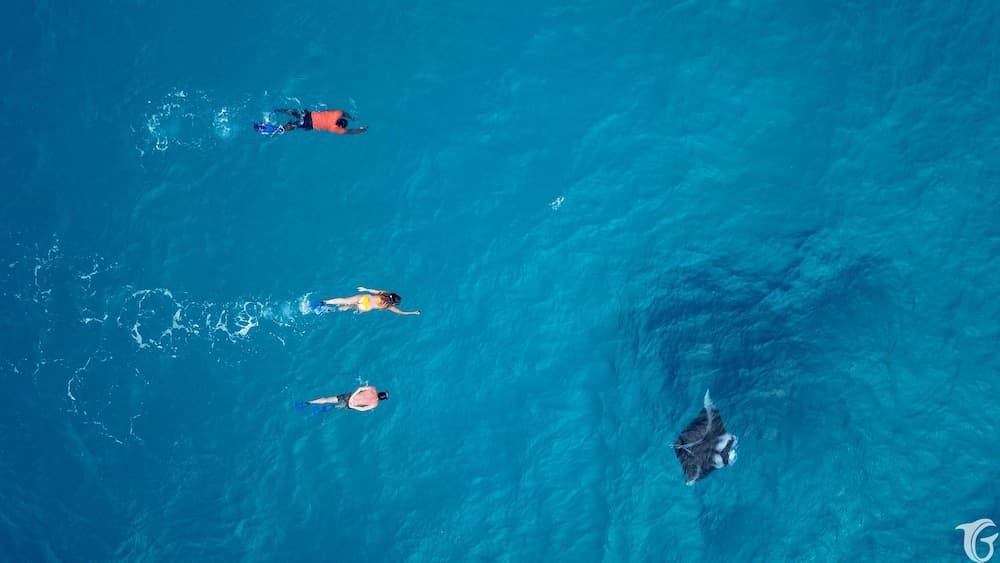 Gunbaru Inn - View 40