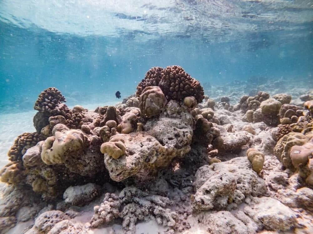 One The Island - View 21